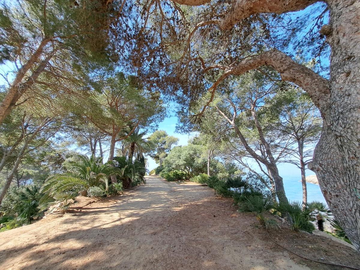 Gran Apartamento Vistas Mar 萨洛 外观 照片
